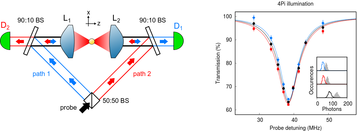 Single atom quantum interfaces