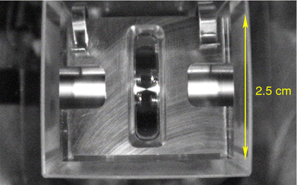 Photograph of the single atom trap